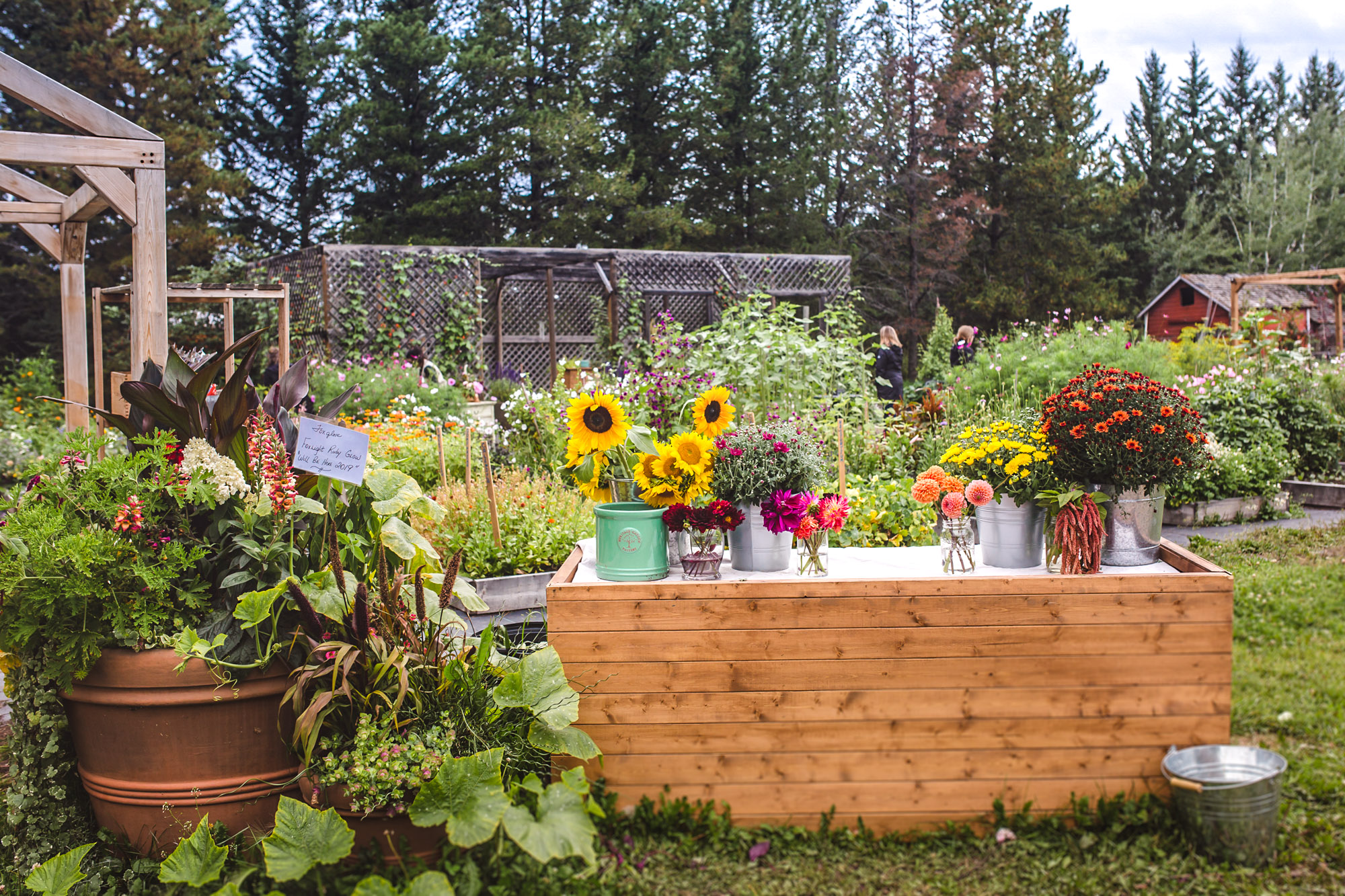 Our Story Birchwood Meadows